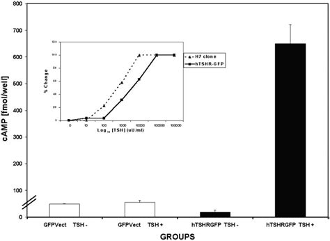 Tsh Induced Cyclic Response In Tshr Gfp Cells Tshr Gfp Cells