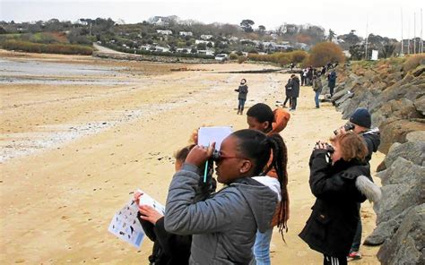 Des oiseaux migrants au bout des jumelles pour les élèves de lécole du