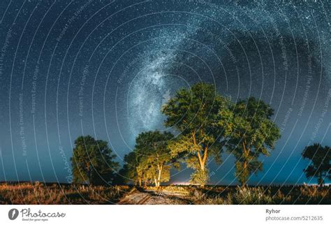 Milchstraße Galaxie in der Nacht Sternenhimmel über Baum im Sommer Wald