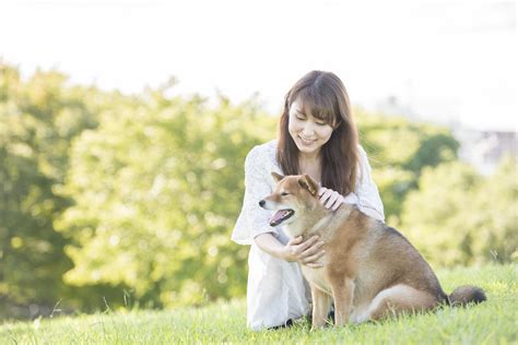 【獣医師監修】犬がご飯を食べない原因と対処法！わがままと病気の見分け方│【マルカン｜page】ペット用品・ペット情報サイト