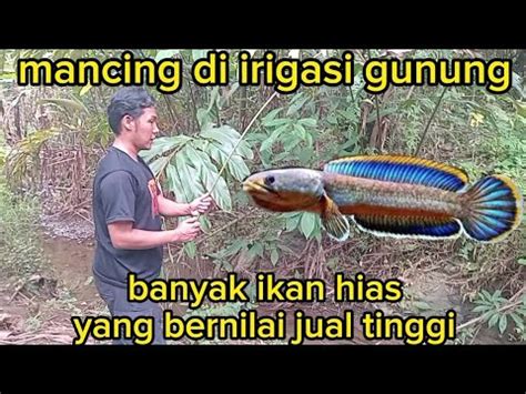 Mengunjungi Saudara Jauh Dan Langsung Di Ajak Berpetualang Youtube