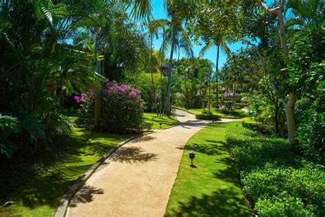 JARDIN DEL EDEN TAMARINDO