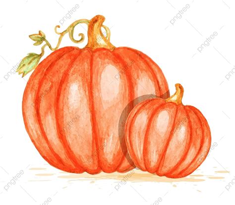 Orange Pumpkin Vector Design Images Watercolor Vector Orange Pumpkins