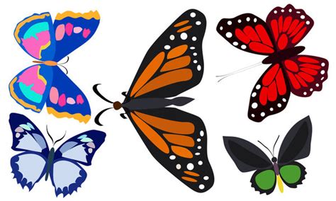 Free Butterfly Clipart for All Your Projects - Clip Art Library