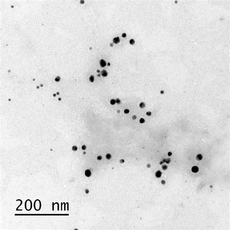 Characterization By Transmission Electron Microscopy Tem Of Bio Agnp