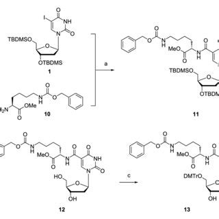 Scheme Reagents And Conditions A Et N Pd Pph Thf Co