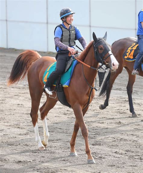 【日曜の注目新馬5日東京5r】1週前騎乗の福永騎手が好評価 メリオルヴィータが速力生かし争覇権 スポーツ報知