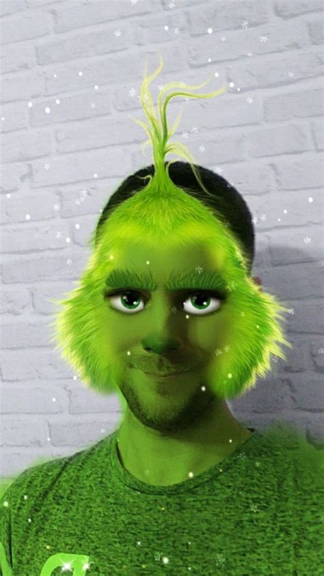 Get Grinch Instagram Facebook Ar Effect Catchar