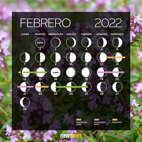 Calendario Lunar De Mayo 2023 Artofit