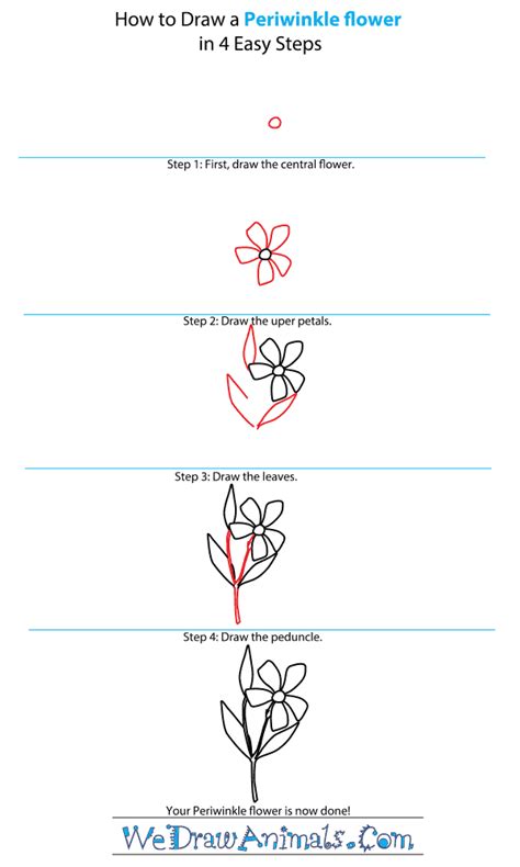 Easy Ways Of How To Draw A Flower