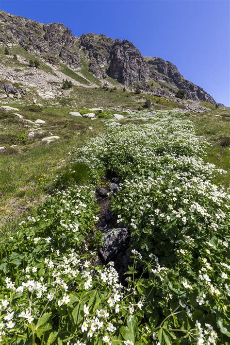 El Siscar Andorra Enric Matas Flickr