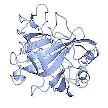 Carbonic Anhydrase: Reactions, Structure & Mechanism