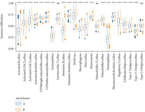 Enrichment Analysis Of Different M6a Methylation Modification Patterns