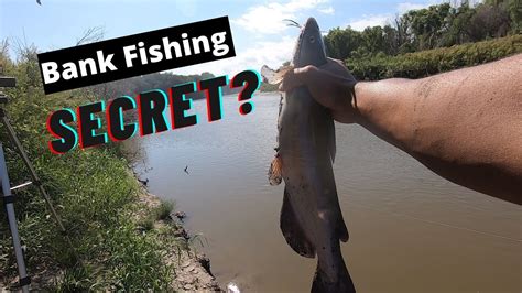 Easy Way To Catch Catfish From The River Bank Youtube