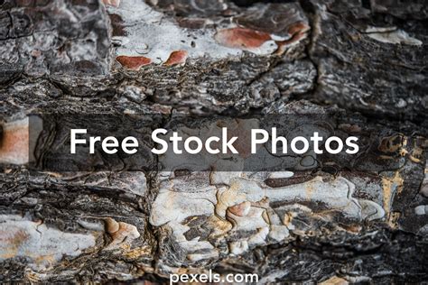 Magma Texture Photos, Download The BEST Free Magma Texture Stock Photos ...