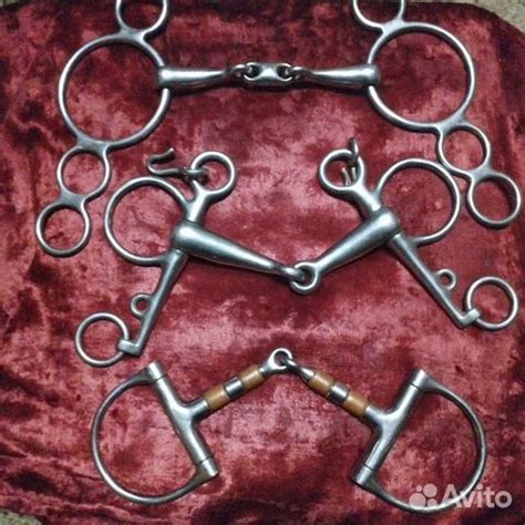 Трензеля и мундштуки для лошади купить в Краснодаре | Животные и ...