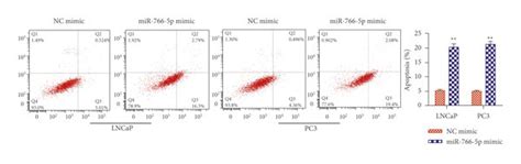 Mirna 766 5p Overexpression Inhibited Pca Proliferation Migration And Download Scientific