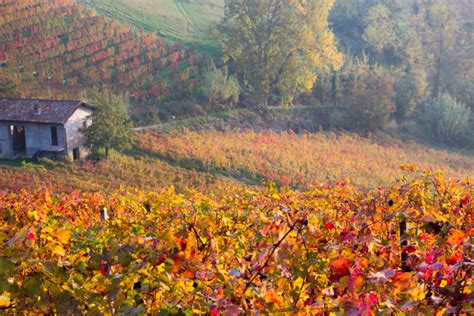 The Langhe: A taste of autumn | Living a Life in Colour