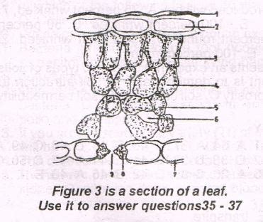 JAMB 1978 Past Questions And Answers For Students