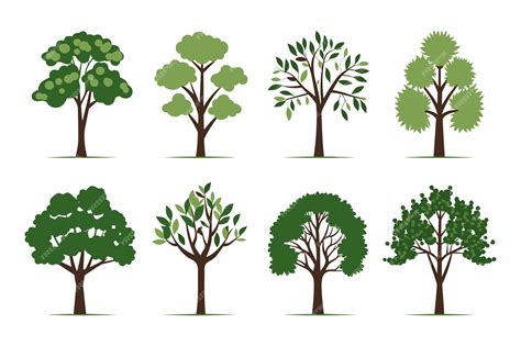 Premium Vector Set Of Tree Vector In Simple Flat Style Isolated On White Background