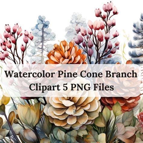 Pine Cone Clipart, Watercolor Pine Cone Designs, Pine Bough Clipart ...