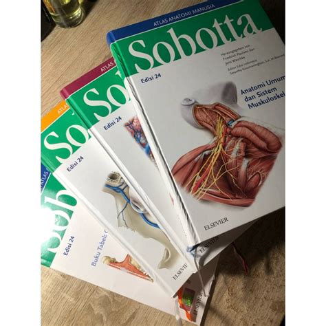 Jual SOBOTTA ATLAS ANATOMI MANUSIA EDISI 24 PRELOVED Shopee Indonesia