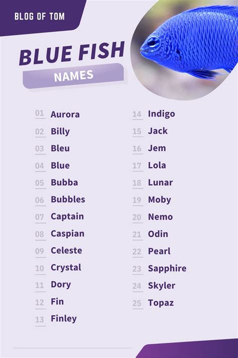 Blue Fish Names 153 Awesome Girls And Boys Ideas Pet Fish Fish Names