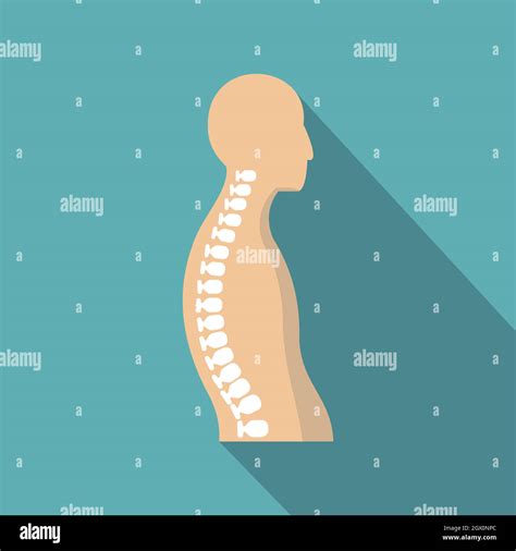 Human Spine Hi Res Stock Photography And Images Alamy