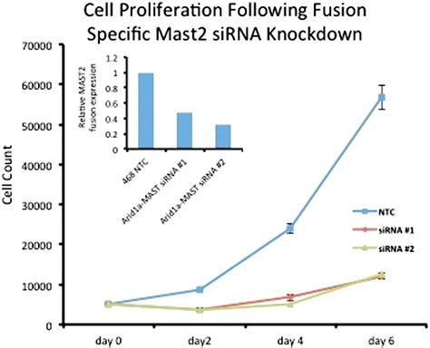 The Identification And Characterization Of Microtubule Associated