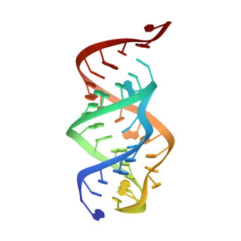 RCSB PDB 2TPK AN INVESTIGATION OF THE STRUCTURE OF THE PSEUDOKNOT