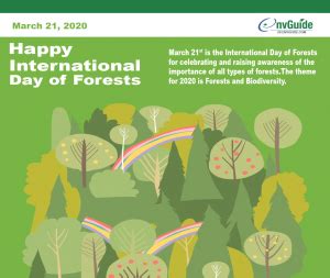 International Day of Forests En 3-21-2020 • EnvGuide