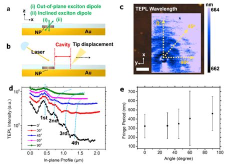 A Schematic Representation Of Exciton Transition Dipole Orientation Download Scientific