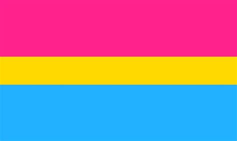 The Bi And Pan Flags But Somethings Off… R Queervexillology