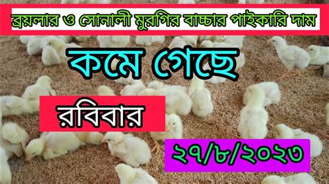 ২৭ আগষ্ট 🐤 আজকের মুরগির বাচ্চার পাইকারি দাম ব্রয়লার ও সোনালী মুরগির