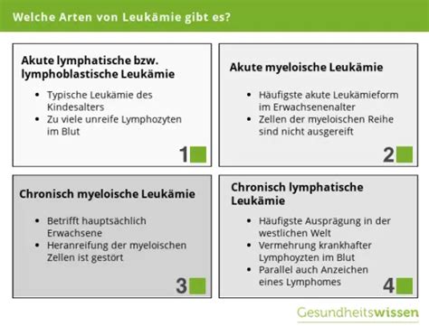 Leukämie So erkennen und bekämpfen Sie Krankheit