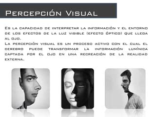 Percepcion Visual Ppt