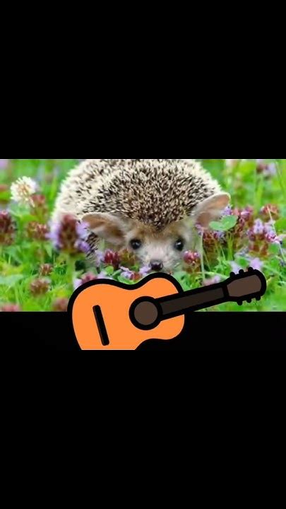 #мем #мемы #ежик #ёжик #ежики #ёжики #2024 #brawlstars #бравлстарс # ...