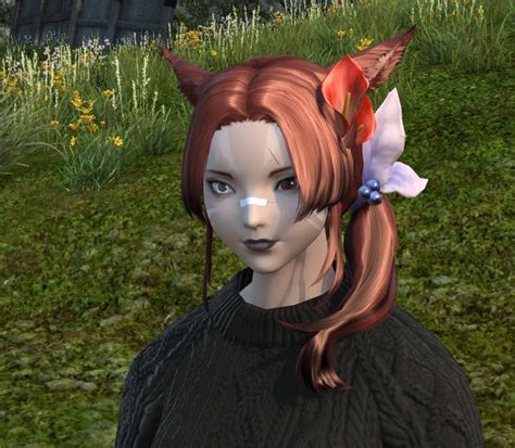 Island Sanctuary Ffxiv Hairstyles Gardenpatricia