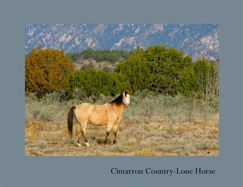 landscape nature cimarron images
