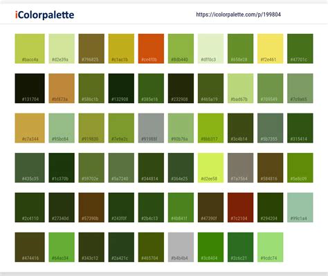 Color Palette Ideas from Pine Family Conifer Tree Image | iColorpalette