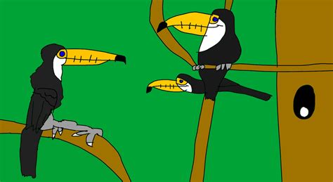 Toco Toucans and Their Baby and Egg by Darthzookeeper on DeviantArt