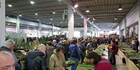 Ortogiardino Fa Il Pieno Di Visitatori Ortogiardino Fiera Di Pordenone