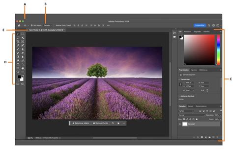 Noções Básicas Do Espaço De Trabalho Do Adobe Photoshop