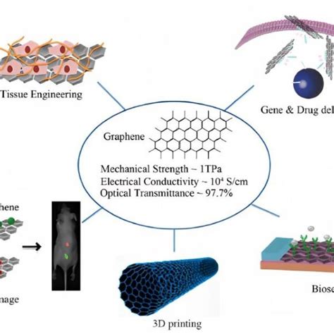 Different Medical Applications Of Graphene Hu Et Al 2012 Shin Et Download Scientific