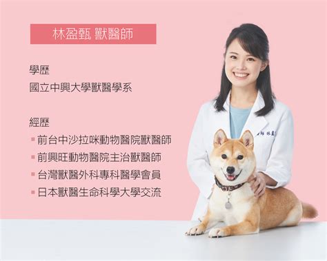 【犬隻心雜音】林盈甄獸醫 Dog Being 多萌購 官方商城