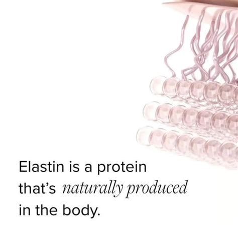 ELASTIN AND YOUR SKIN