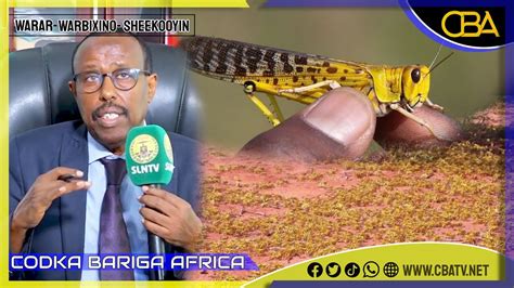 Degdeg Xukuumadda Somaliland Ayaa Shaacisay Ayax Duulaan Ah Oo Xeebaha