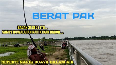 Gilak Mancing Garong Mancing Sengget Di Pintu Air Bendung Gerak