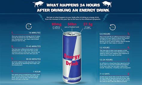 What Happens To Your Body Hours After Drinking Red Bull Daily Mail