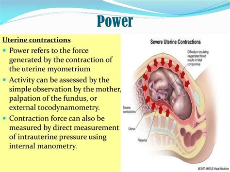 Ppt Physiology Of Delivery Analgesia In Labor Powerpoint Presentation Id6432824